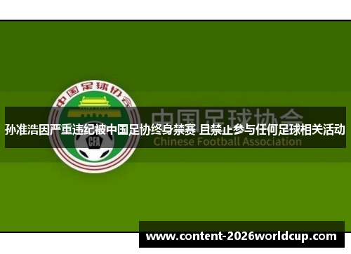 孙准浩因严重违纪被中国足协终身禁赛 且禁止参与任何足球相关活动